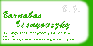 barnabas visnyovszky business card